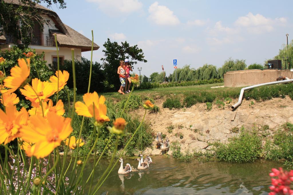 Penzion Eko Park Piestany エクステリア 写真