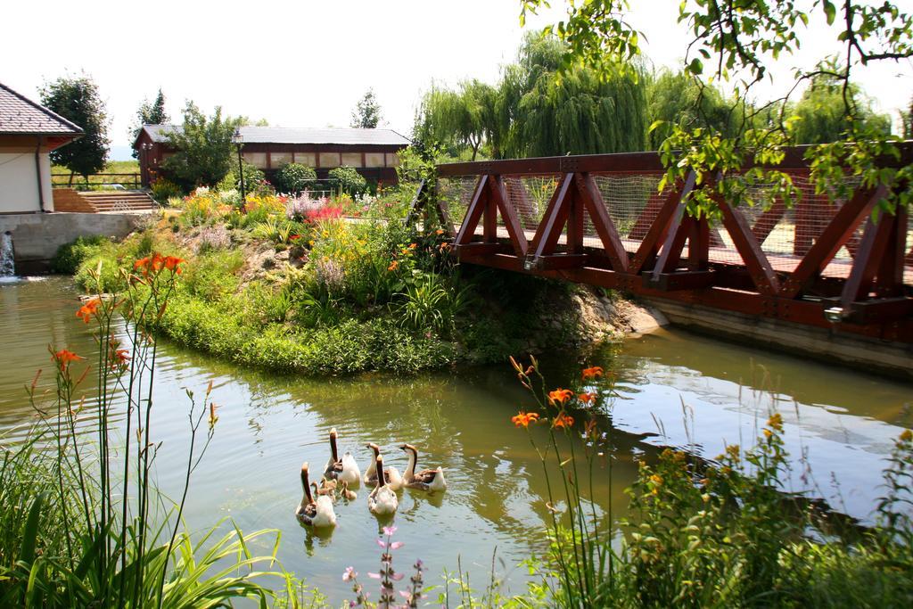 Penzion Eko Park Piestany エクステリア 写真